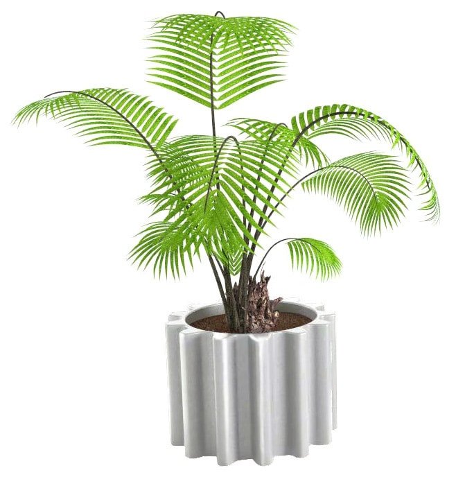 imgzoom-Gear--Pot--Version-laquee-Slide-refsdgep040-laque-blanc