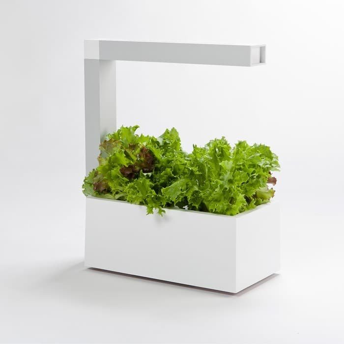 systeme-culture-indoor-herbes-aromatiques-salade-herbie-blanc-packshot.800