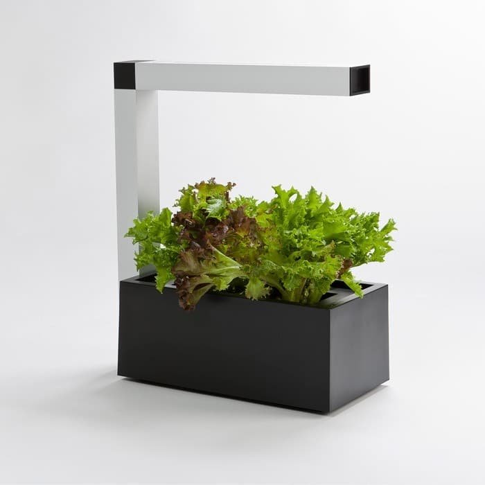 systeme-culture-indoor-herbes-aromatiques-salade-herbie-noir-packshot.800