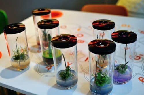 Jeu-concours-greenfeel-blog-espritdesign-31