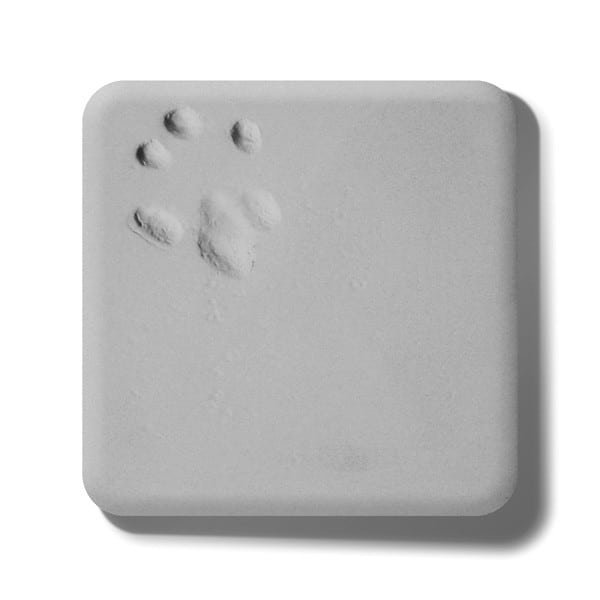 footprint_1