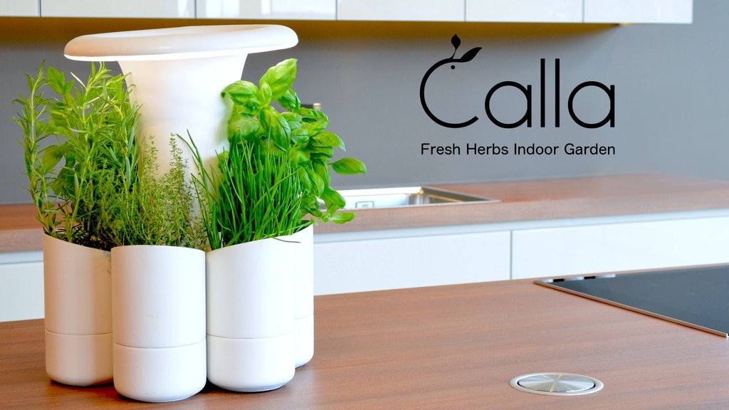 herbes aromatiques interieur