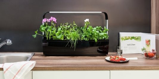 Avis Potagers Tregren - Test des potagers d'intérieur intelligents Avis Potagers Tregren Test des potagers dintérieur intelligents 534x267 - Avis Potagers Tregren - Test des potagers d'intérieur intelligents