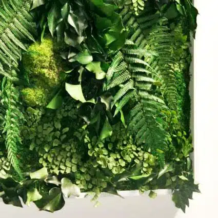 MATIGREEN - Tableau végétal stabilisé 1 MATIGREEN - Tableau végétal stabilisé 1