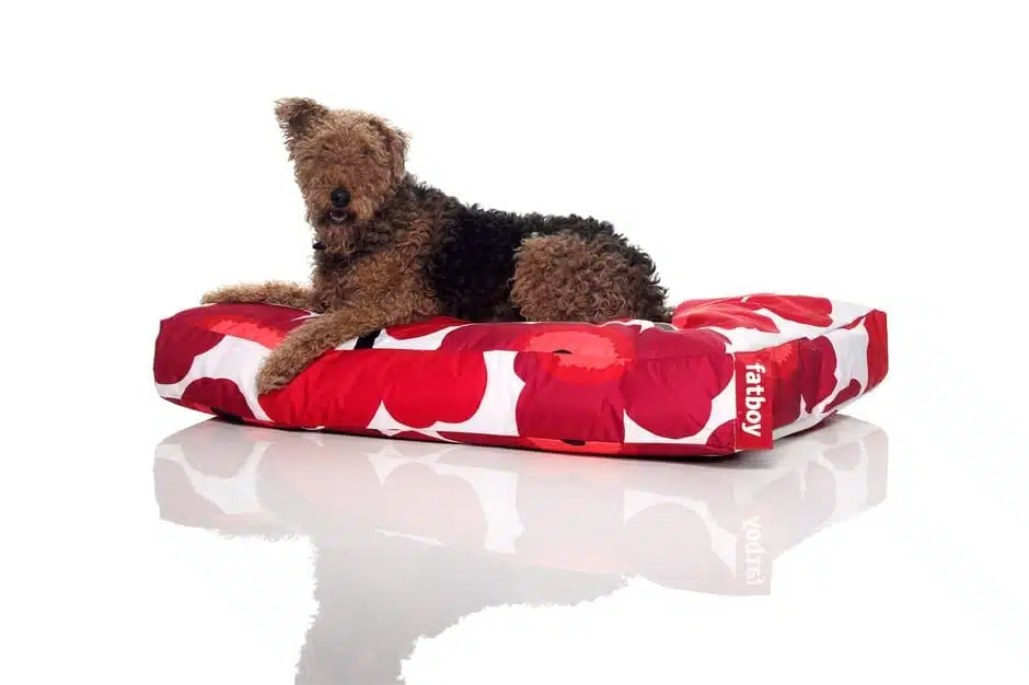 Pouf déco : le pouf pour chien Marimekko by FatBoy Pouf déco : le pouf pour chien Marimekko by FatBoy