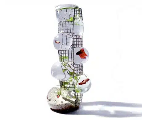 Vase Décoratif - Le vase Aquarius Building by Vanessa Mitrani Vase Décoratif - Le vase Aquarius Building by Vanessa Mitrani