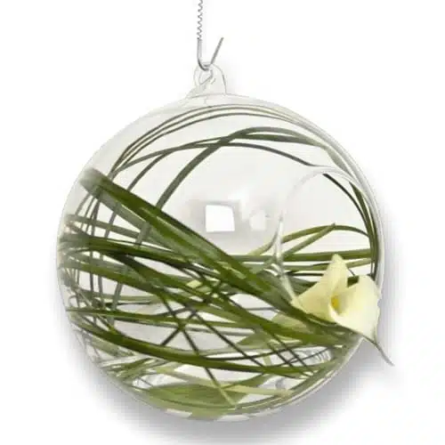 Vase pas cher - Les vases suspendus Bowl by Vicky Weiler