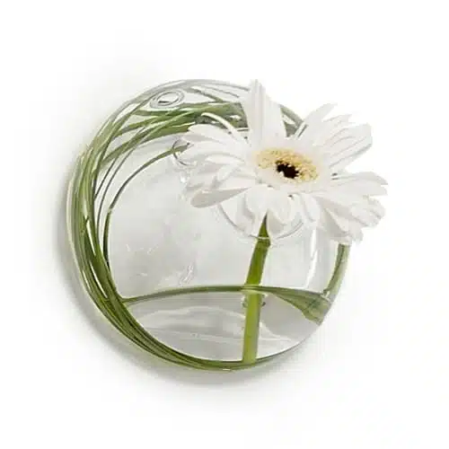 Vase pas cher - Les vases suspendus Bowl by Vicky Weiler