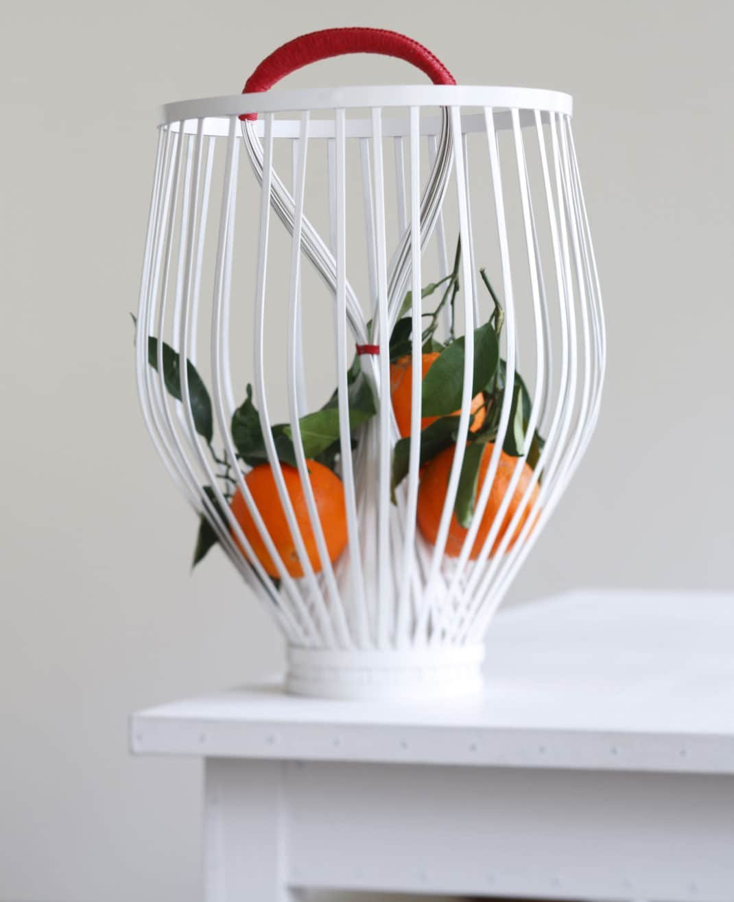 Douglas Legg corbeille à fruit ENO