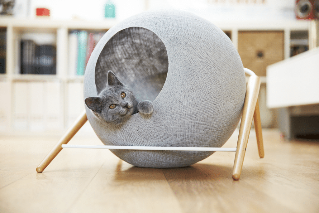 meyou mobilier chat