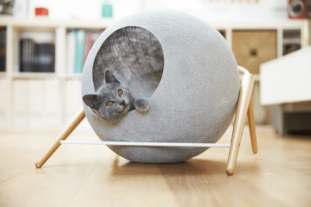 meyou mobilier chat