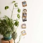 DIY et accessoires muraux