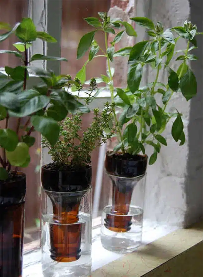 utiliser des bouteilles en verre pour sa decoration 7