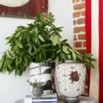 decoration cosmopolite max humphrey