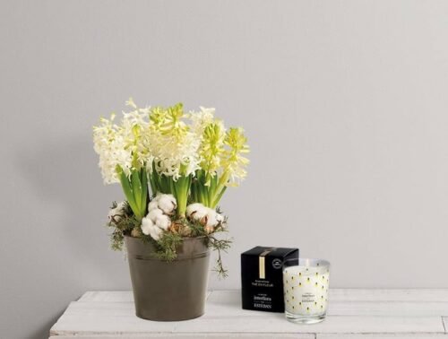 Décoration florale à Noël