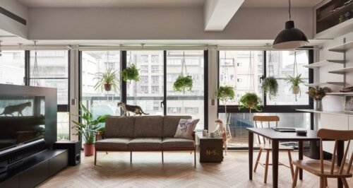 décorer votre appartement si vous avez des chats
