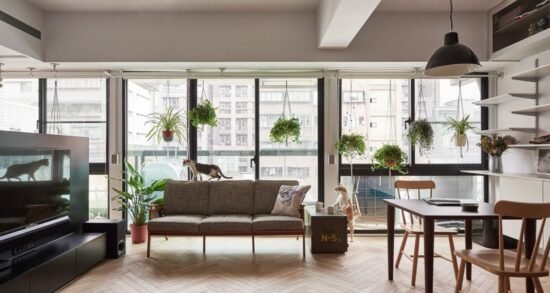 décorer votre appartement si vous avez des chats
