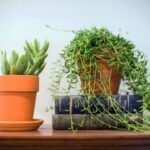 Redécorer une maison des années 70