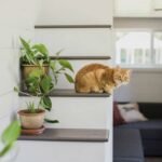 rénover une petite maison