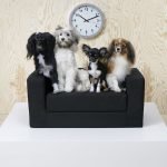 LURVIG - IKEA dévoile une nouvelle collection de meubles pour animaux de compagnie