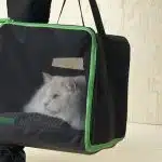 LURVIG - IKEA dévoile une nouvelle collection de meubles pour animaux de compagnie