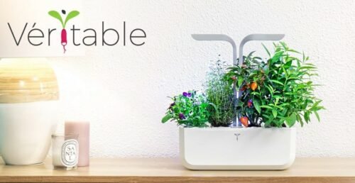 Avis Potager Veritable - Test du potager d'intérieur intelligent
