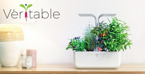Avis Potager Veritable - Test du potager d'intérieur intelligent