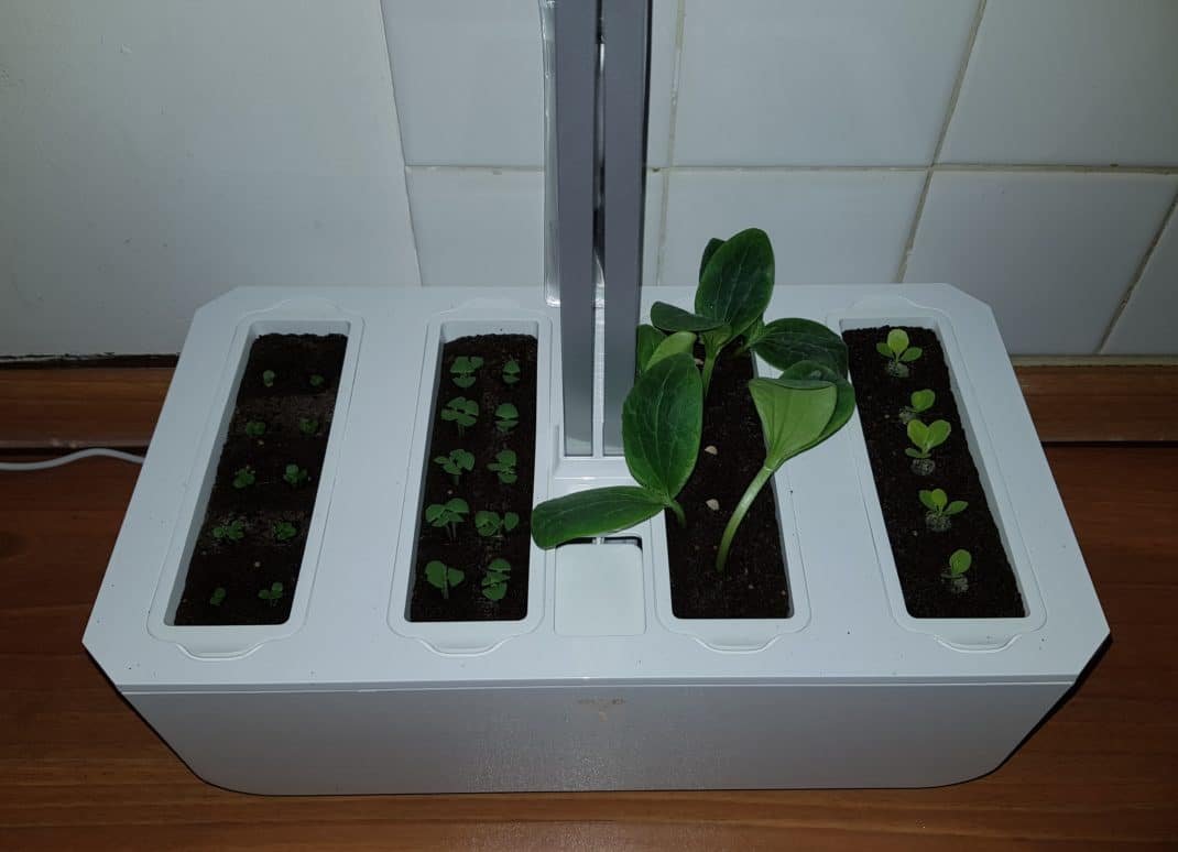 Avis Potager Veritable - Test du potager d'intérieur intelligent