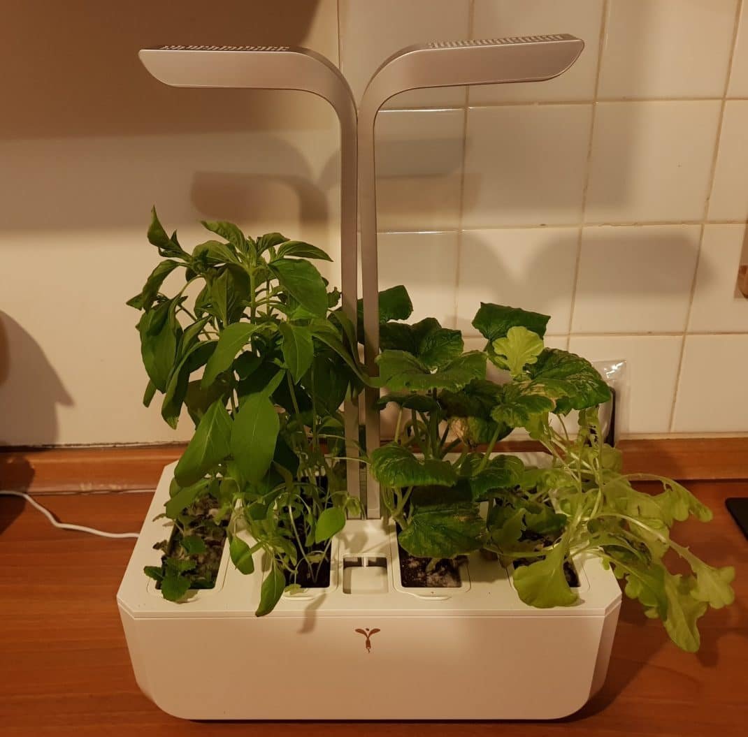 Avis Potager Veritable - Test du potager d'intérieur intelligent