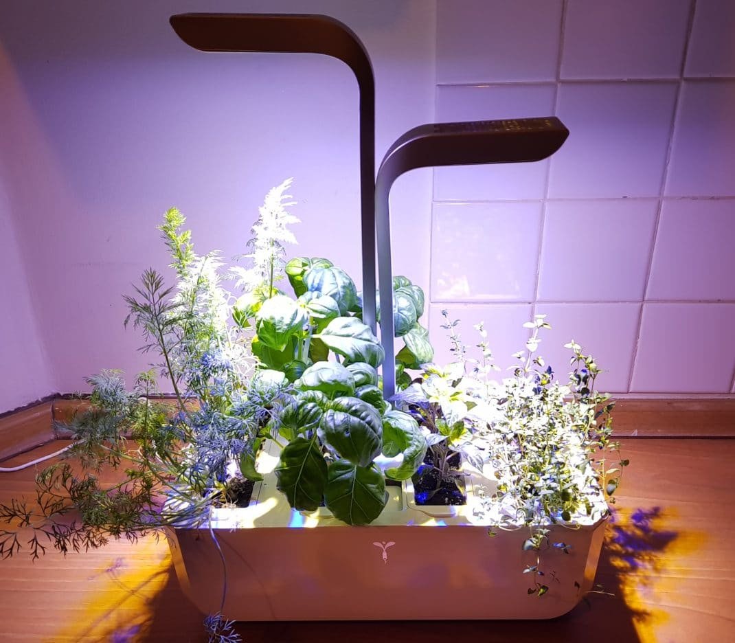 Avis Potager Veritable - Test du potager d'intérieur intelligent