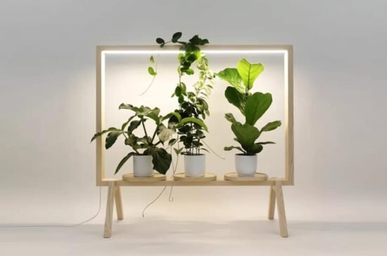 Limbus Greenframe Kauppi et Kauppi