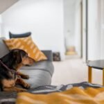 Appartement sous les toits