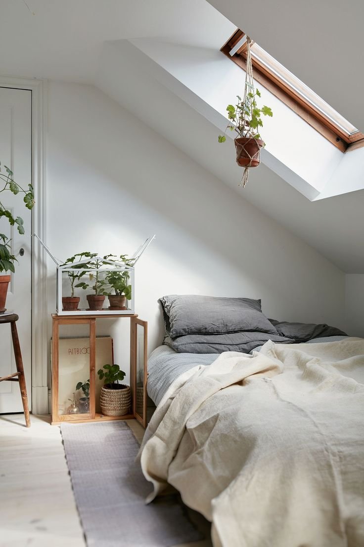 Une décoration très neutre Une décoration très neutre