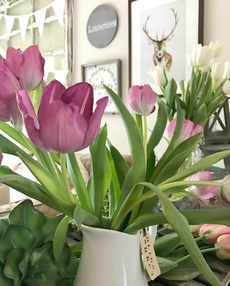 N'oubliez pas les fausses fleurs N'oubliez pas les fausses fleurs