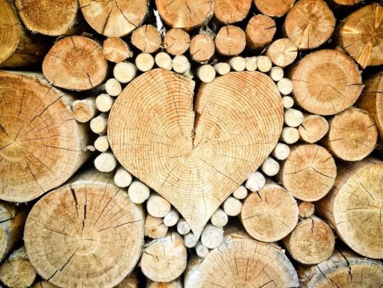 Poêle à bois vs poêle à granulés lequel choisir