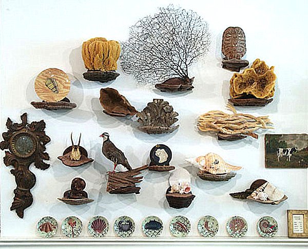 Agencer un cabinet de curiosités thématique 3