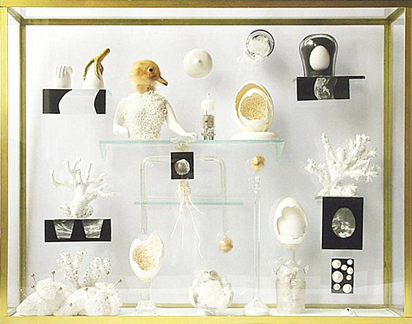 Comment créer un cabinet de curiosités à la maison