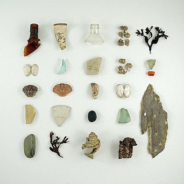 Décorer son cabinet de curiosités 1