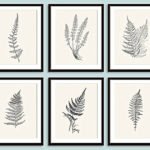 Décorer son cabinet de curiosités 3