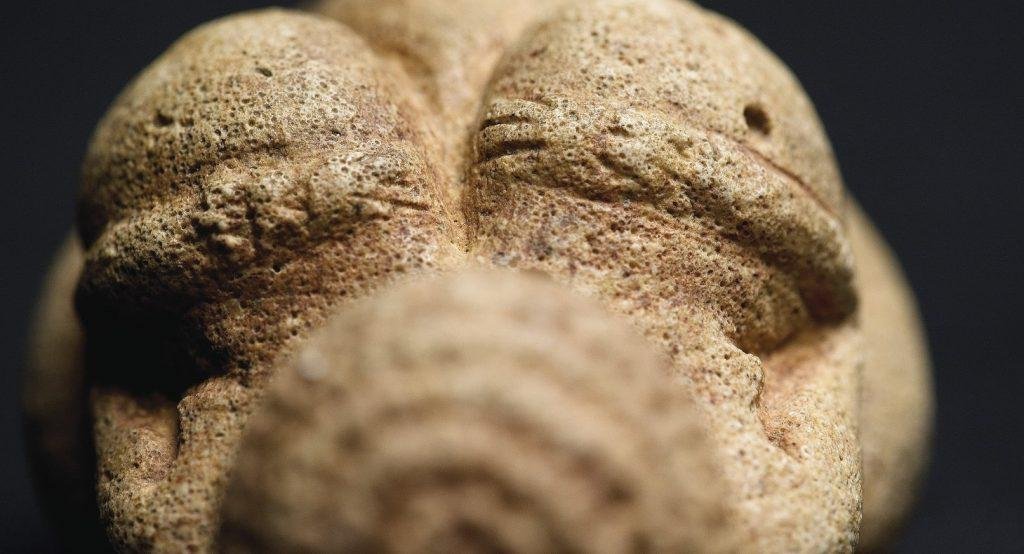 Vénus de Willendorf de l'ère paléolithique (Collection : Musée d'histoire naturelle de Vienne)