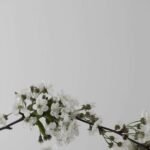 Guillaume Alan nous dévoile un appartement parisien au minimalisme poétique 1