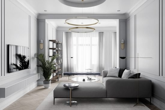 décoration d'intérieur néoclassique à base de gris