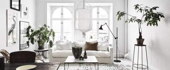 Pourquoi il ne faut pas utiliser de fausses plantes dans votre maison