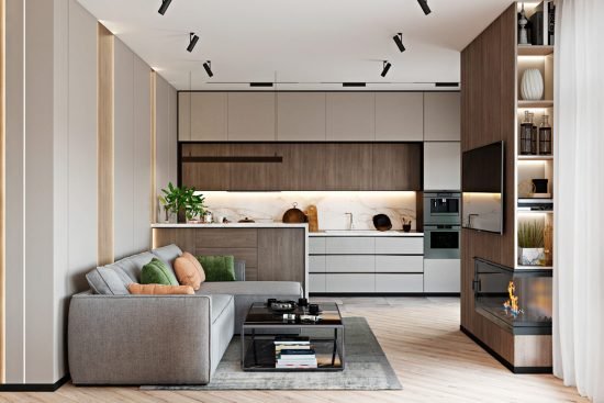 maison familiale moderne sophistiquée