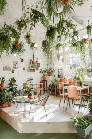 7 plantes dépolluantes qui aident à la purification de l'air pour assainir votre maison