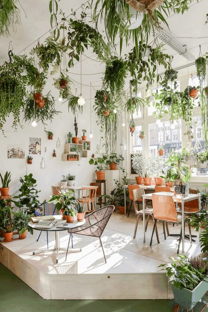 7 plantes dépolluantes qui aident à la purification de l'air pour assainir votre maison 7 plantes dépolluantes qui aident à la purification de l'air pour assainir votre maison