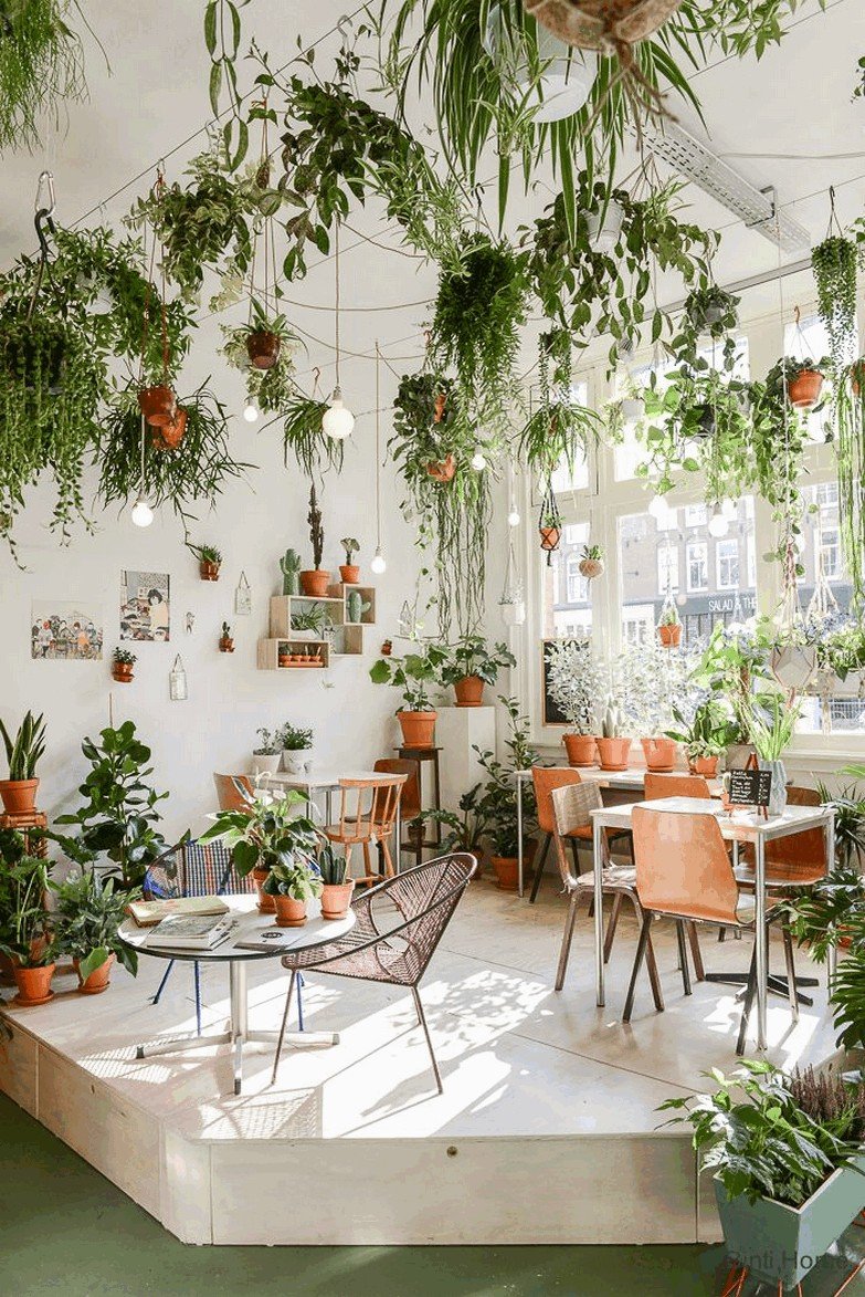 7 plantes dépolluantes qui aident à la purification de l'air pour assainir votre maison