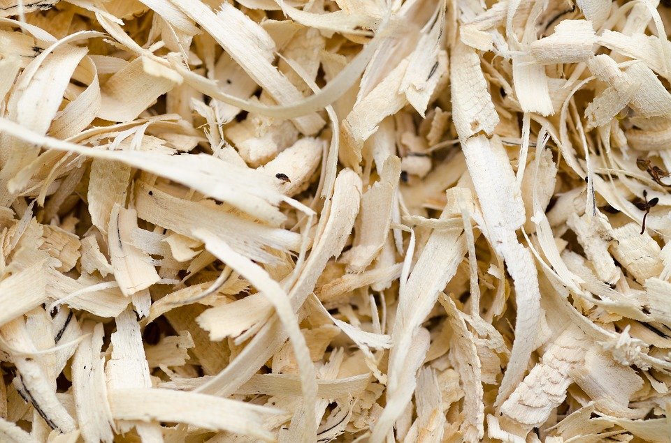 Le Plywood de construction Le Plywood de construction