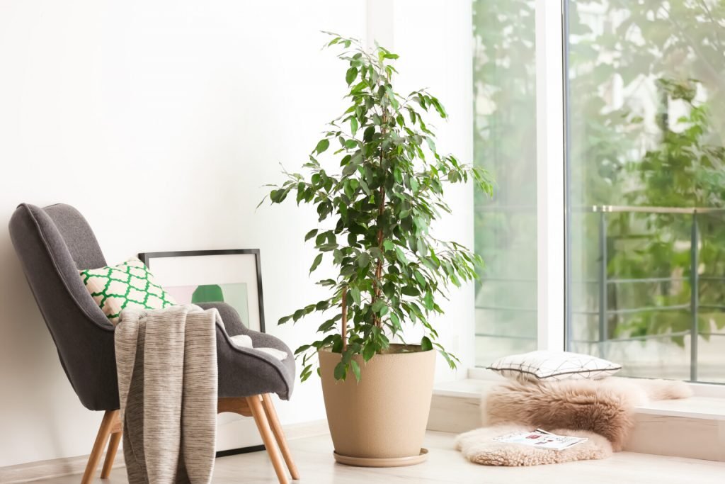 Les accessoires du style moderne urbain Les accessoires du style moderne urbain