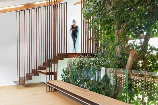 The Greenary Carlo Scarpa 2